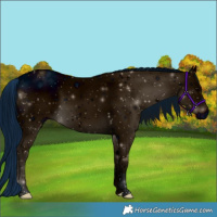 Horse Color:ERROR: UNKNOWN ANOMALY