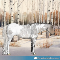 Horse Color:White Spotted Silver Smoky Blue Roan Rabicano 