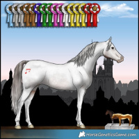 Horse Color:Brown Tobiano Varnish Rabicano 