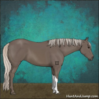 Horse Color:Silver Black 