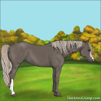 Horse Color:Silver Black 