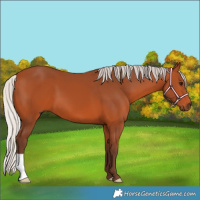 Horse Color:Silver Bay