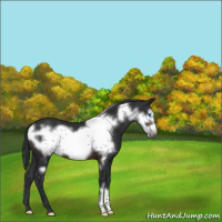 Horse Color:Brown Frame 