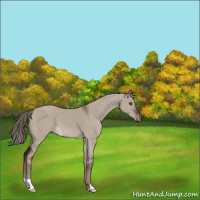 Horse Color:Liver Red Dun Mushroom 