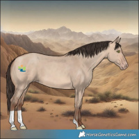 Horse Color:Amber Champagne Dun 