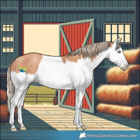 Horse Color:Gold Champagne Splash 