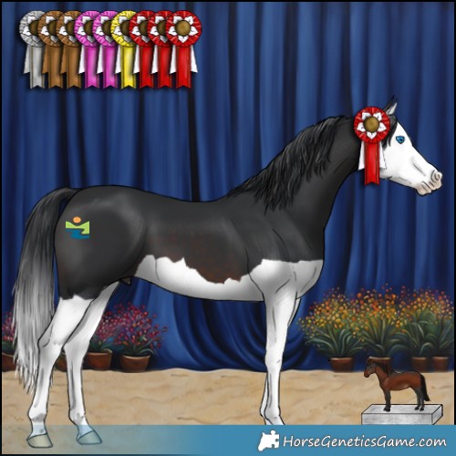 Horse Color:Brown Splash 