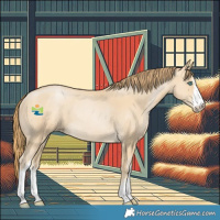 Horse Color:White Spotted Smoky Black Pearl Rabicano 