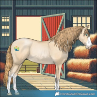 Horse Color:White Spotted Smoky Black Pearl Rabicano 