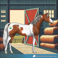 Horse Color:Silver Bay Tobiano 