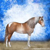 Horse Color:Gray Gold Champagne Splash Tobiano 