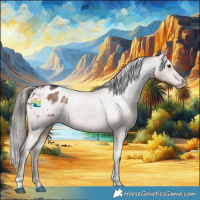 Horse Color:Liver Red Dun Mushroom Appaloosa 