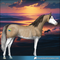 Horse Color:Classic Cream Champagne Splash Rabicano 