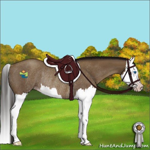 Horse Color:Gray Classic Champagne Roan Splash Rabicano 