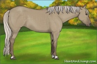 Horse Color:Silver Grullo 