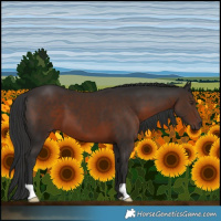 Horse Color:Liver Chestnut 