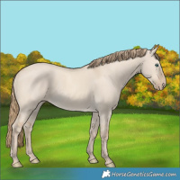 Horse Color:Smoky Creme Dun 