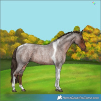 Horse Color:Liver Red Roan Tobiano 