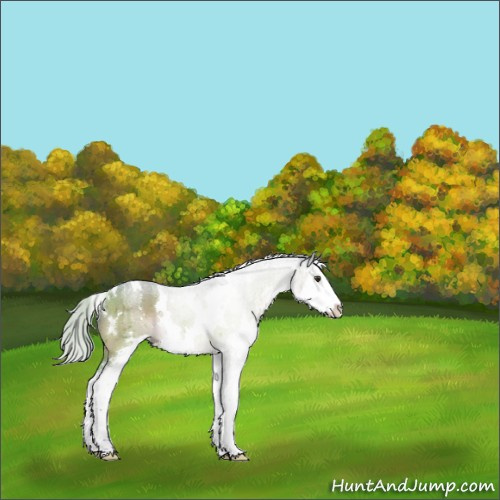 Horse Color:Watercolor White Spotted Silver Brown Dun Sabino Splash Brindle 
