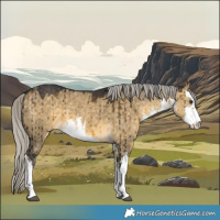 Horse Color:White Spotted Silver Buckskin Dun Brindle