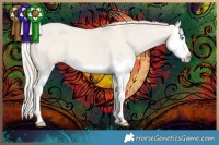 Horse Color:Smoky Creme Dun Splash 