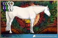 Horse Color:Perlino Dun Splash