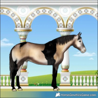 Horse Color:Gray Void Brown Pearl Onyx Tobiano 