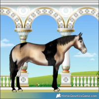 Horse Color:Gray Void Brown Pearl Onyx Tobiano 