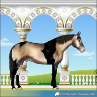 Horse Color:Gray Void Brown Pearl Onyx Tobiano 