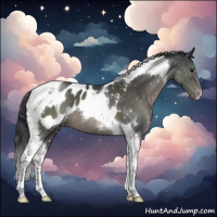 Horse Color:Grullo Tobiano Blanket 