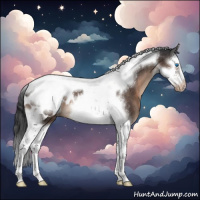 Horse Color:Brown Splash Tobiano Frame Appaloosa
