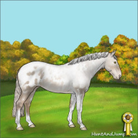 Horse Color:White Spotted Silver Grullo Pearl Tobiano Appaloosa Rabicano 