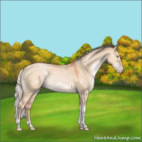 Horse Color:White Spotted Silver Brown Pearl Dun Tobiano Rabicano