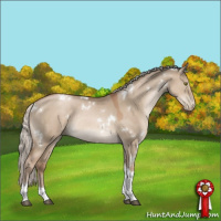 Horse Color:White Spotted Silver Grullo Pearl Tobiano Rabicano