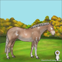 Horse Color:White Spotted Silver Black Pearl Tobiano Rabicano 