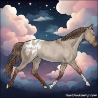 Horse Color:Liver Red Dun Roan Appaloosa Rabicano 