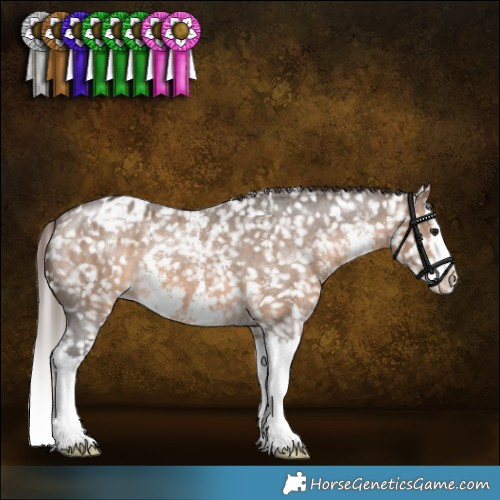 Horse Color:Brown Dun Sabino Splash Appaloosa Brindle 