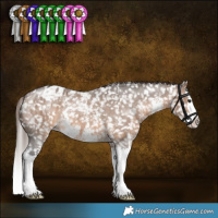 Horse Color:Brown Dun Sabino Splash Appaloosa Brindle 
