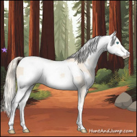 Horse Color:Cremello Sabino  and Perlino Sabino 