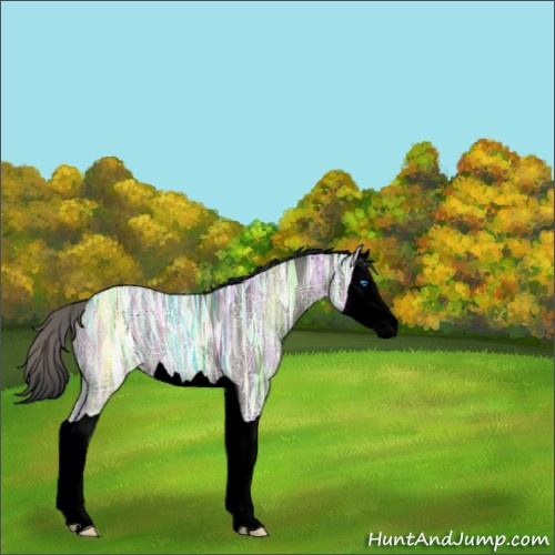 Horse Color:Void Grullo Ice Splash 