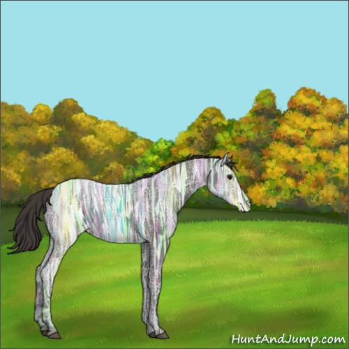 Horse Color:Void Smoky Black Ice 