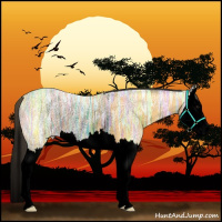 Horse Color:Void Buckskin Ice Splash Rabicano 