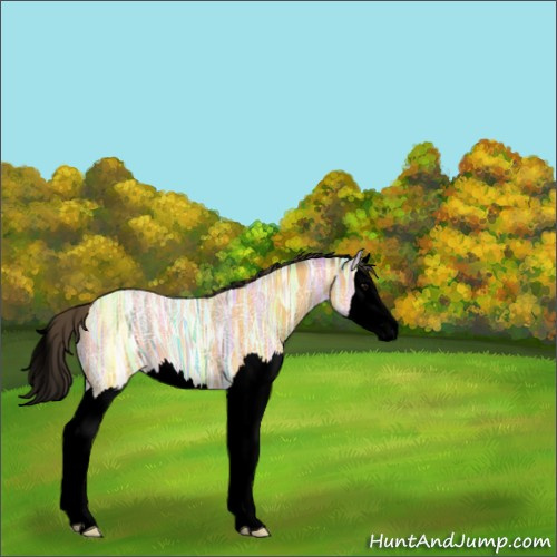 Horse Color:Void Buckskin Ice Splash 
