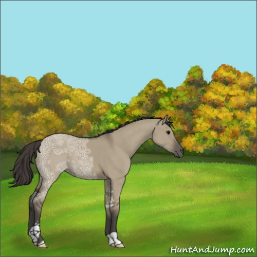 Horse Color:Smoky Grullo Ice Sabino 