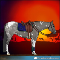 Horse Color:White Spotted Grullo Ice Tobiano 