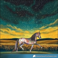 Horse Color:Nacre Liver Red Onyx Appaloosa 