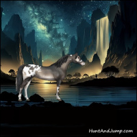 Horse Color:White Spotted Blue Onyx Appaloosa 