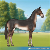 Horse Color:Liver Chestnut Tobiano Rabicano