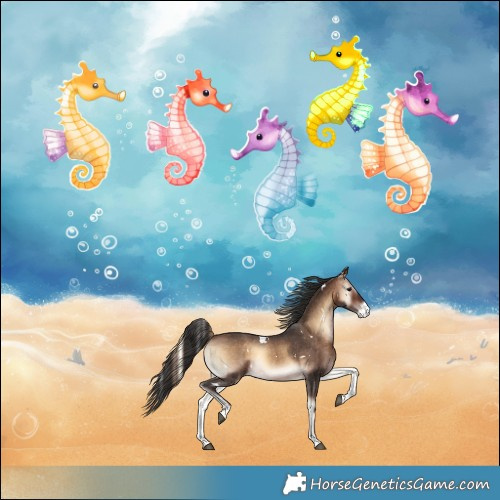 Horse Color:White Spotted Bay Onyx Appaloosa 