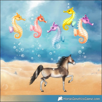 Horse Color:White Spotted Bay Onyx Varnish 